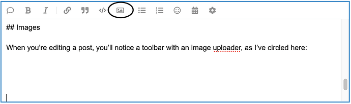 Screen Shot 2022-08-08 at 7.49.41 AM