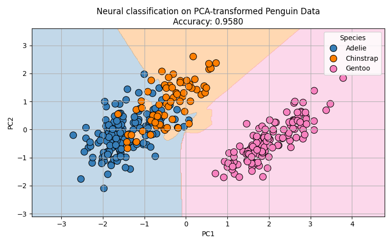 Neural classification of the Palmer penguins